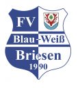 FV Blau-Weiß 90 Briesen/​Mark 182
