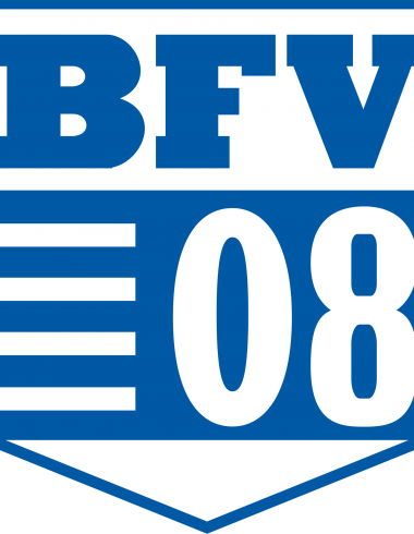 Bischofswerdaer FV 08 2