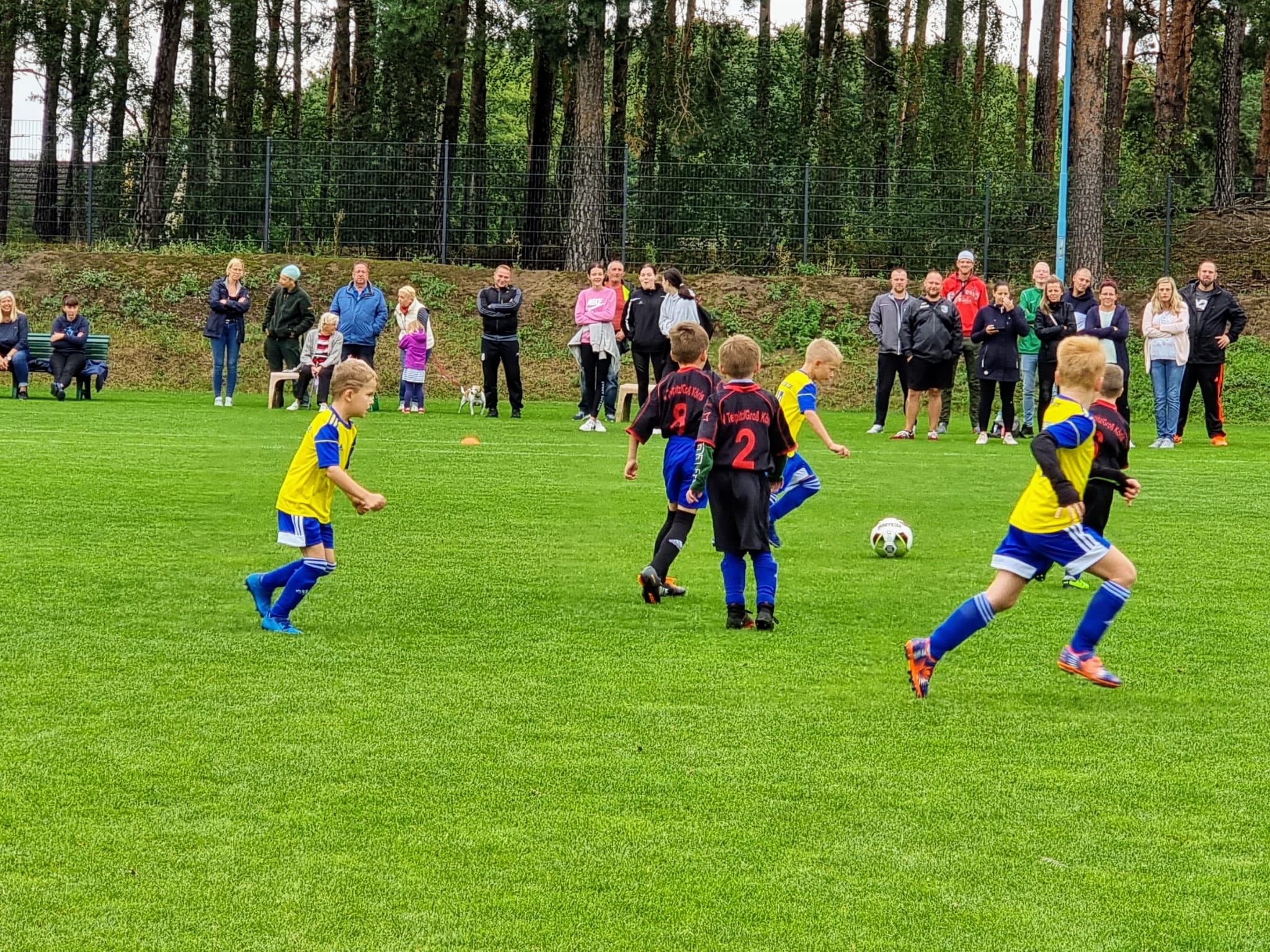 F1 beim Heimspiel gegen den SV Grün-Weiß Großbeeren 25 F1 beim Heimspiel gegen den SV Grün-Weiß Großbeeren 25