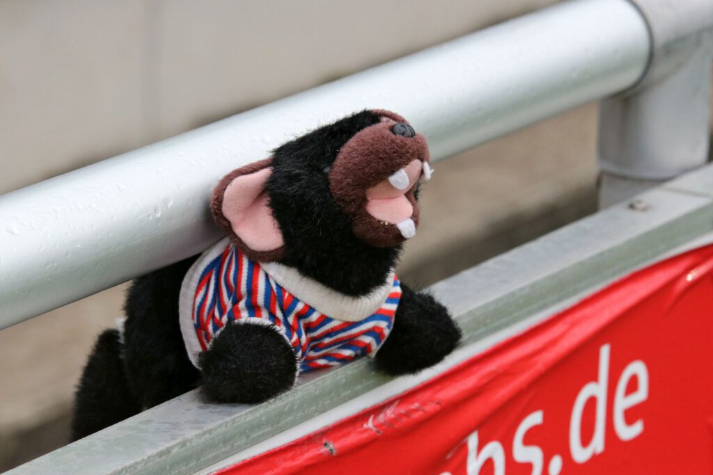 Der Favoritenrolle gerecht geworden 4