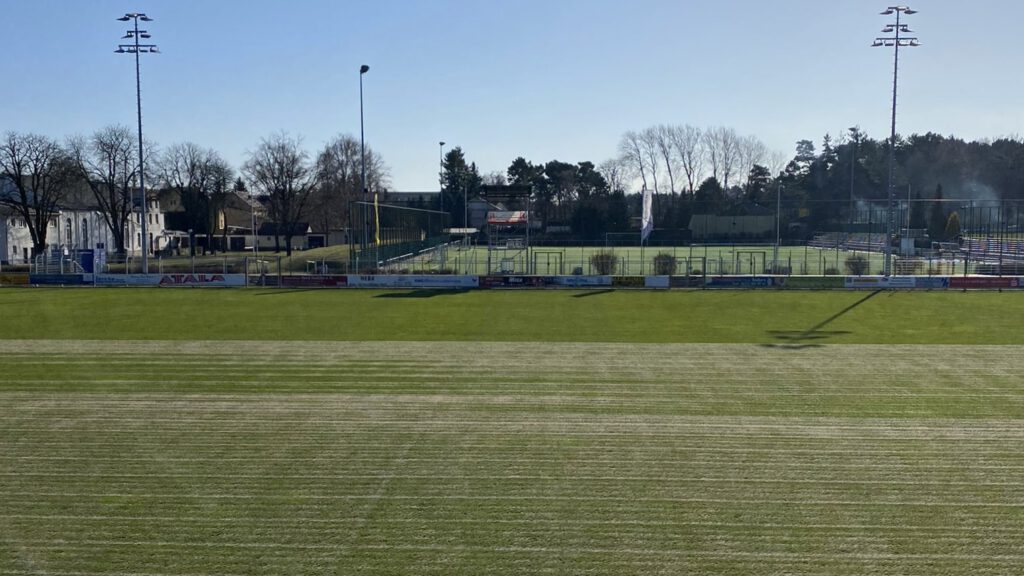 Intensive Platzpflege im Seele beginnt 4