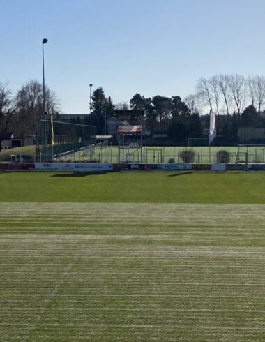 Intensive Platzpflege im Seele beginnt 3