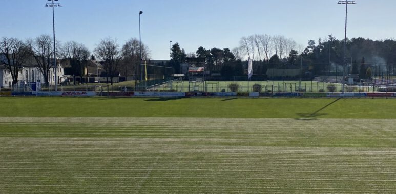 Intensive Platzpflege im Seele beginnt 1