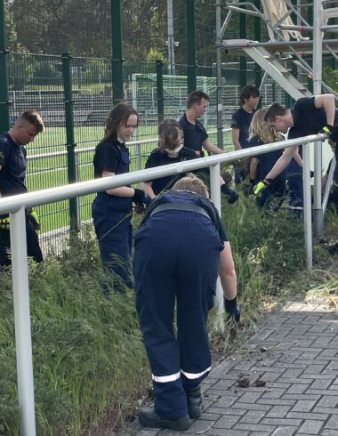 Aktion erfolgreich - jetzt ist unser Seele chic 11