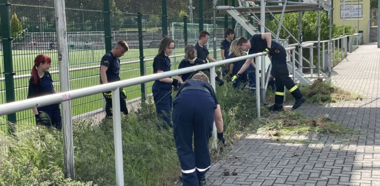 Aktion erfolgreich - jetzt ist unser Seele chic 1