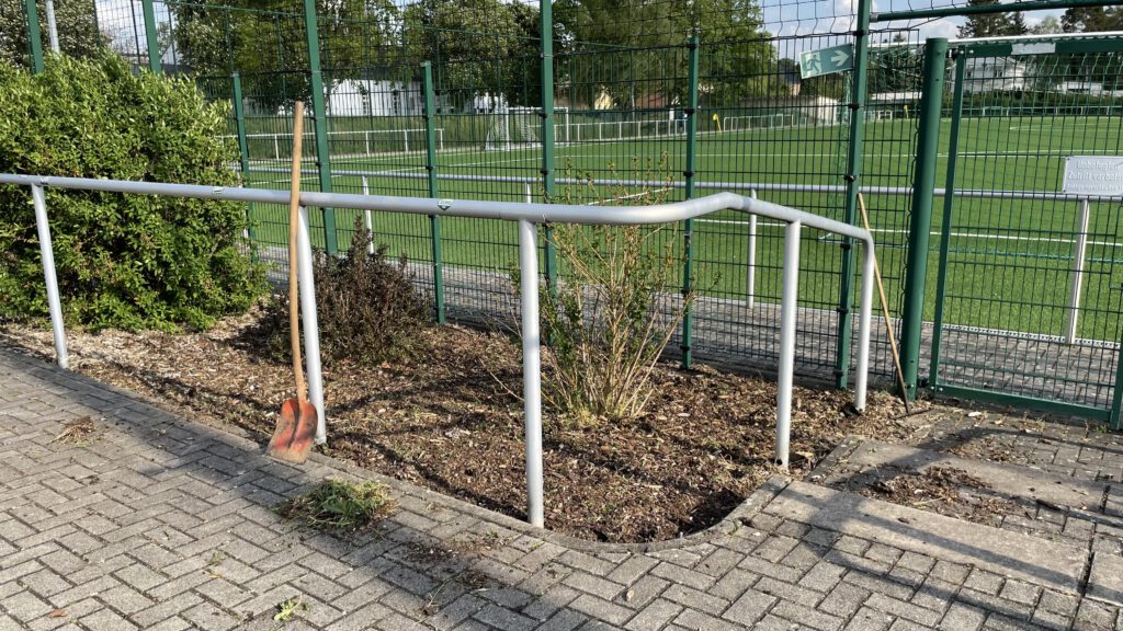 Aktion erfolgreich - jetzt ist unser Seele chic 6 Aktion erfolgreich - jetzt ist unser Seele chic 6