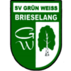 SV Grün-Weiss Brieselang 20
