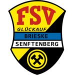 FSV "Glückauf" Brieske/​Senftenberg 3