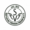 SV Falkensee-Finkenkrug 1