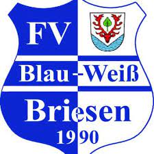 FV Blau-Weiß 90 Briesen/​Mark 16