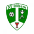 SV Döbern 45