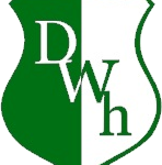 SG Grün-Weiß Deutsch Wusterhausen II 3