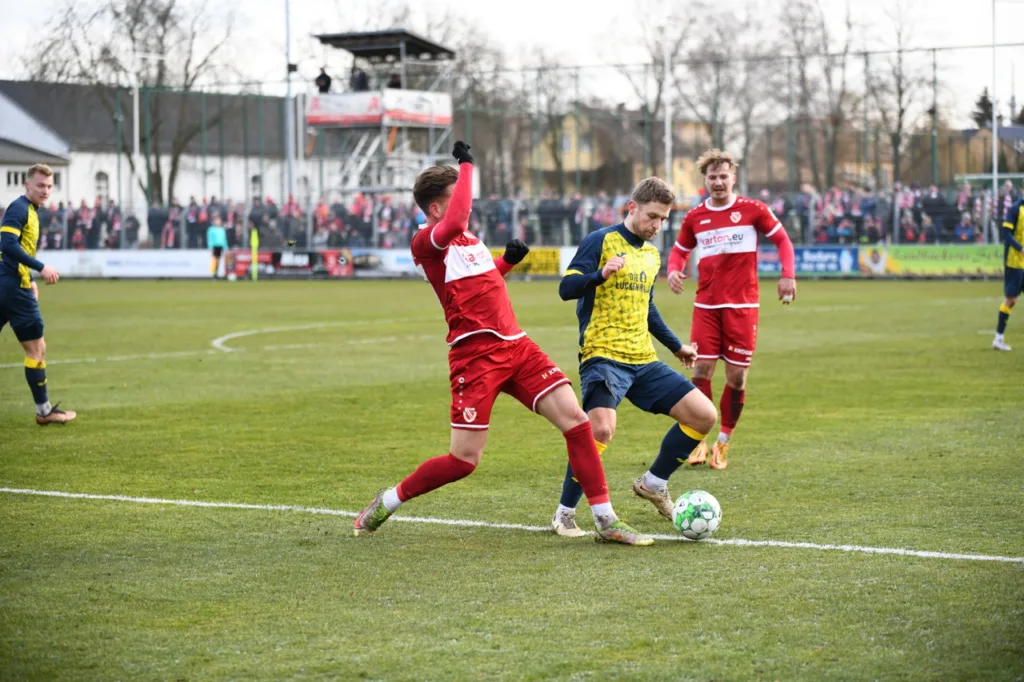 Verdienter FSV-Sieg erhofft aber nicht zwingend erwartet 17 Verdienter FSV-Sieg erhofft aber nicht zwingend erwartet 17