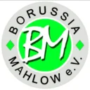 borussia mahlow 166