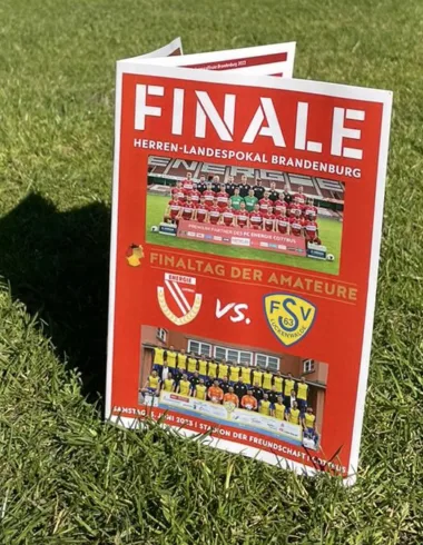 Grußbotschaften ehemaliger FSV-Spieler zum Pokalfinale 17