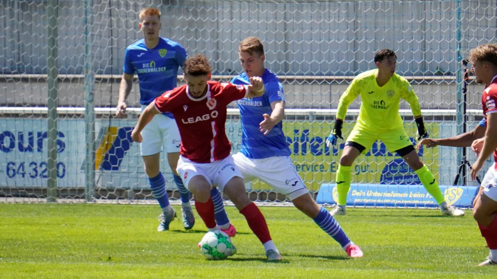 Vertragsauflösung mit Daniel Hefele 5 Vertragsauflösung mit Daniel Hefele 5