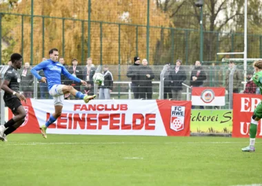 GOLLE nun mit Schnapszahl unterwegs 2