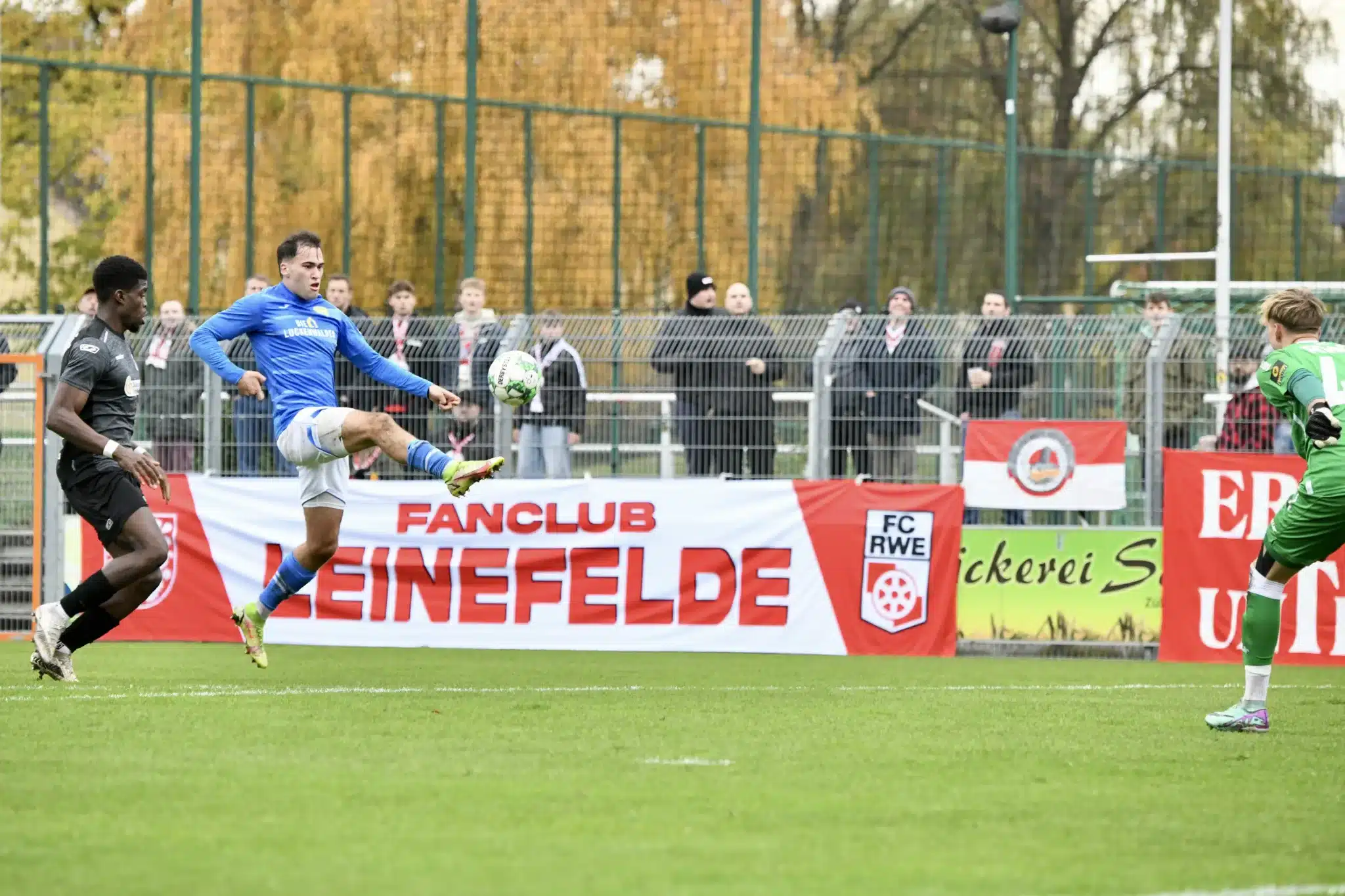 GOLLE nun mit Schnapszahl unterwegs 7 GOLLE nun mit Schnapszahl unterwegs 7