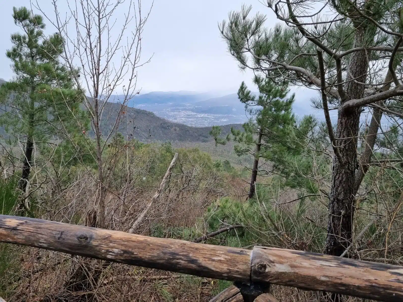 Vereinsfahrt nach Neapel 9