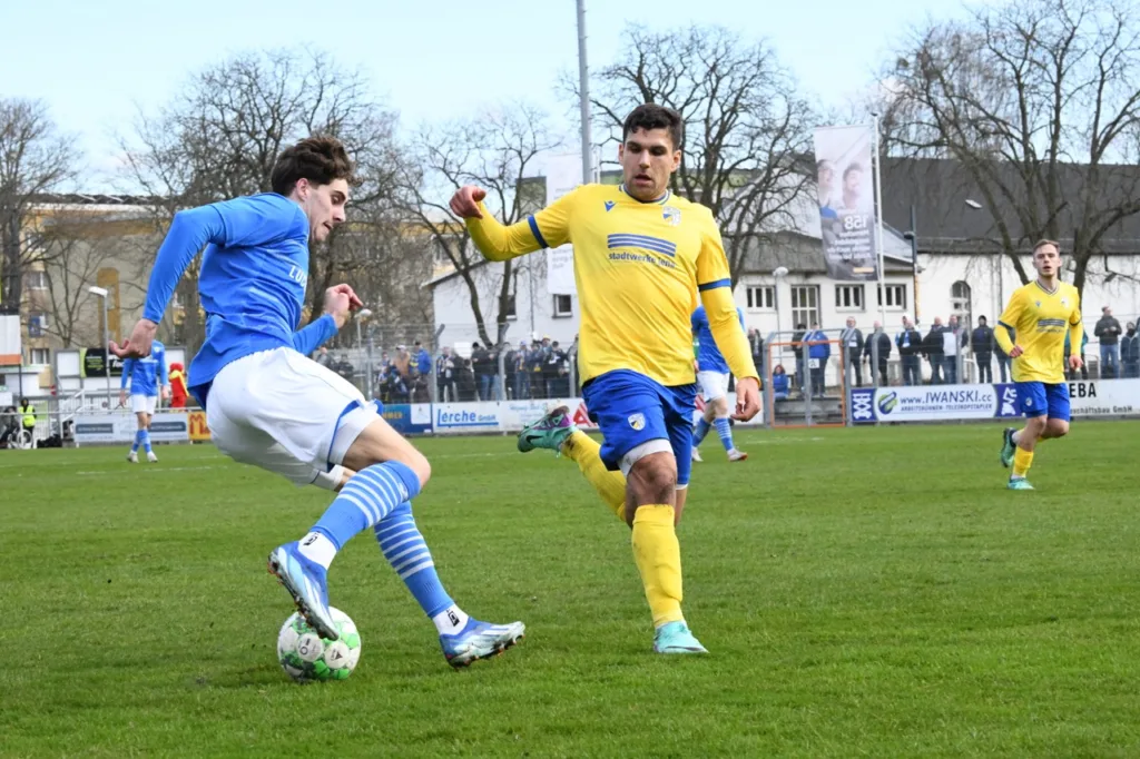 Bäume wachsen in Luckenwalde weiterhin nicht in den Himmel 22