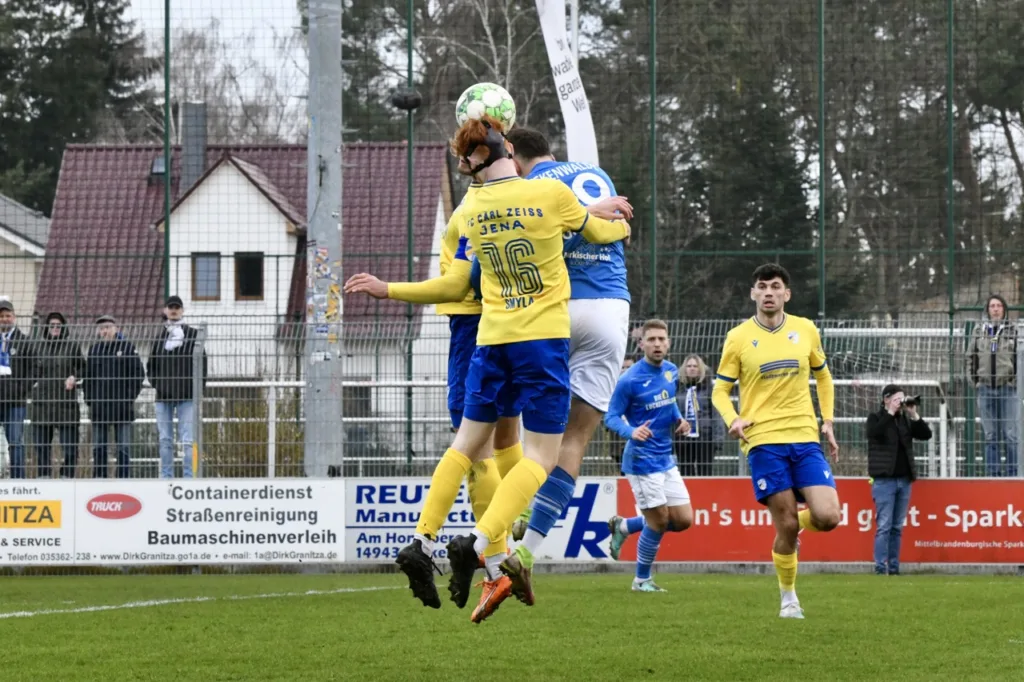 Bäume wachsen in Luckenwalde weiterhin nicht in den Himmel 25