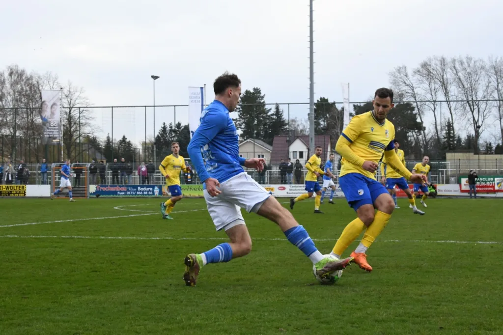 Bäume wachsen in Luckenwalde weiterhin nicht in den Himmel 26