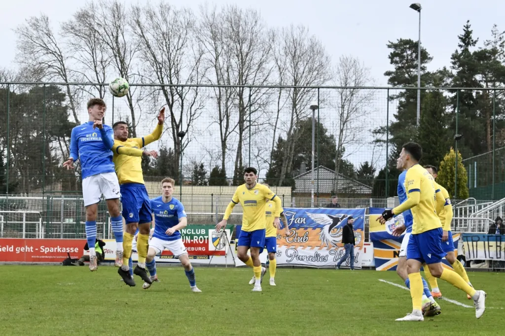 Bäume wachsen in Luckenwalde weiterhin nicht in den Himmel 27