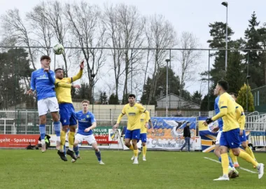 Bäume wachsen in Luckenwalde weiterhin nicht in den Himmel 1