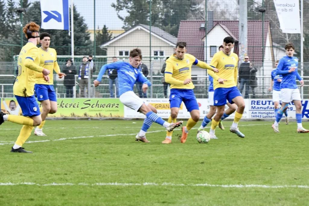Bäume wachsen in Luckenwalde weiterhin nicht in den Himmel 33