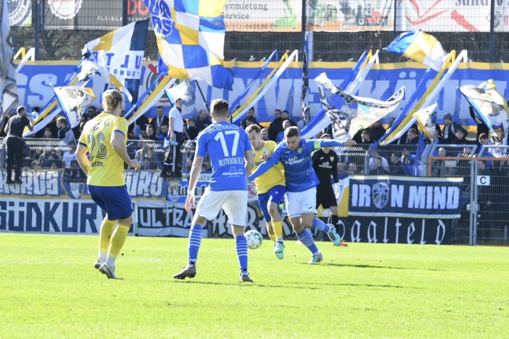 Bäume wachsen in Luckenwalde weiterhin nicht in den Himmel 4