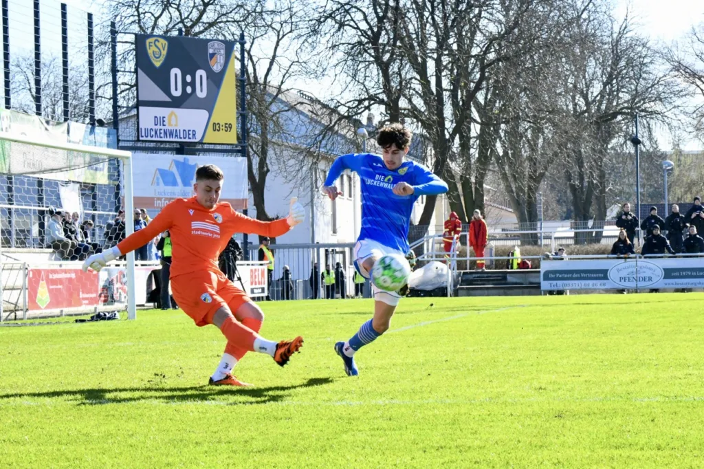 Bäume wachsen in Luckenwalde weiterhin nicht in den Himmel 5