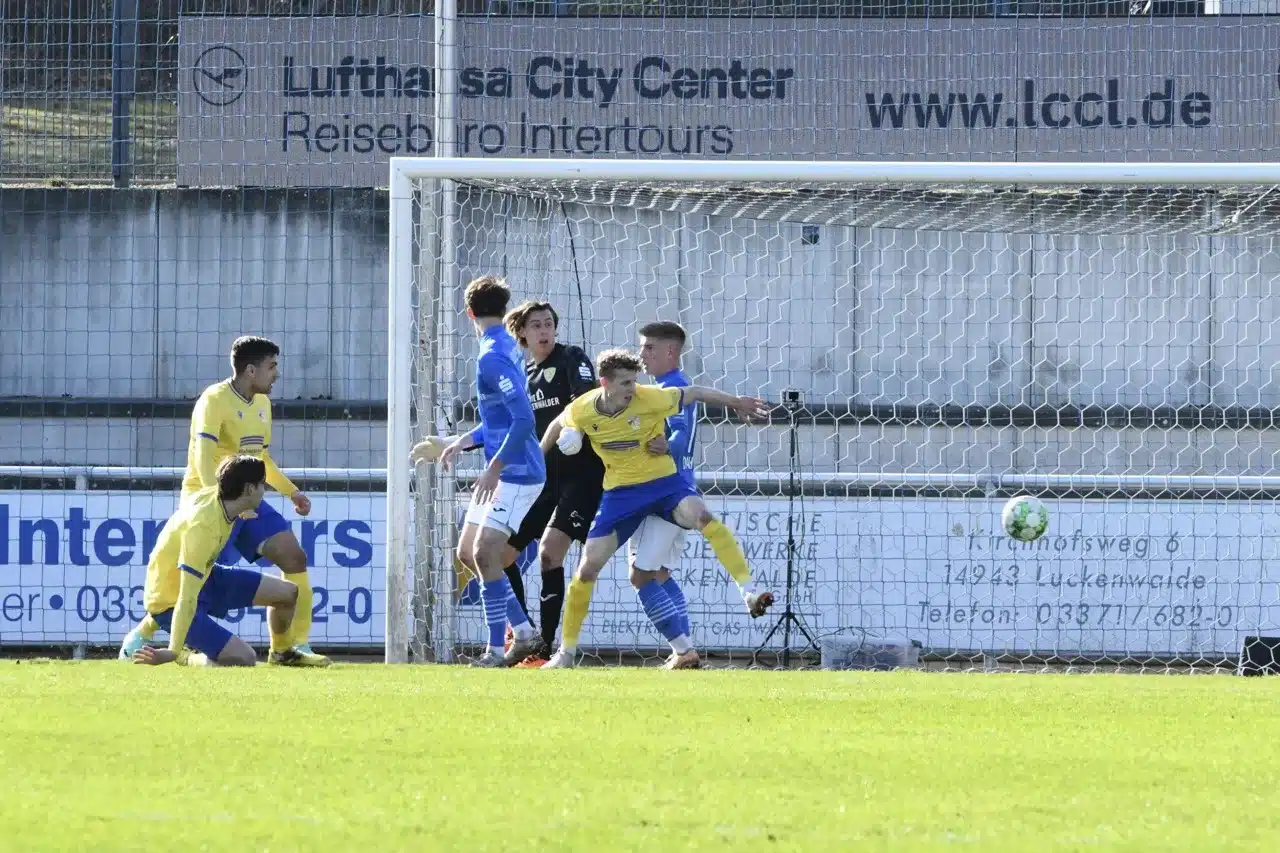 Bäume wachsen in Luckenwalde weiterhin nicht in den Himmel 1