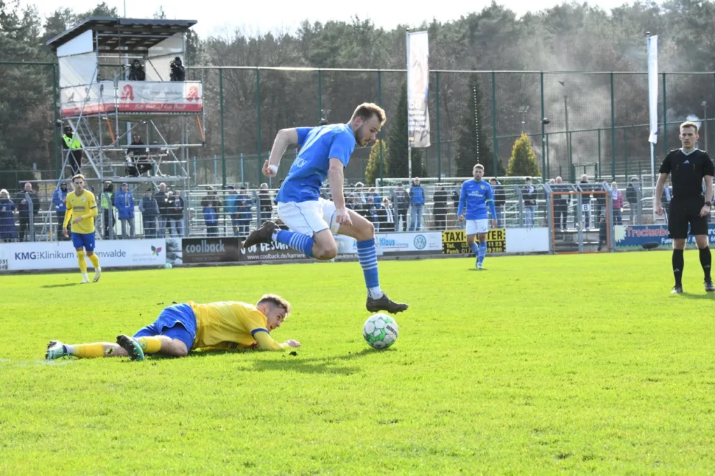 Bäume wachsen in Luckenwalde weiterhin nicht in den Himmel 14