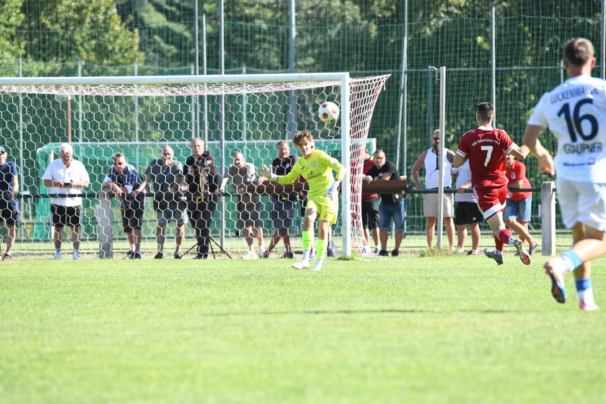 Happy Birthday Bela 3