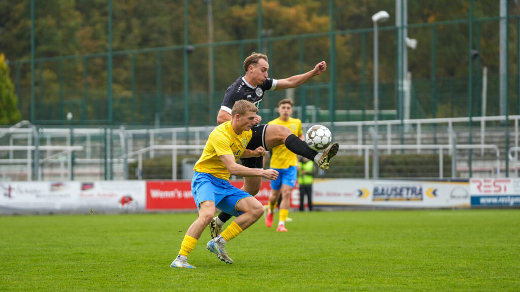 Auch gegen Plauen findet der FSV nicht in die Erfolgsspur 10
