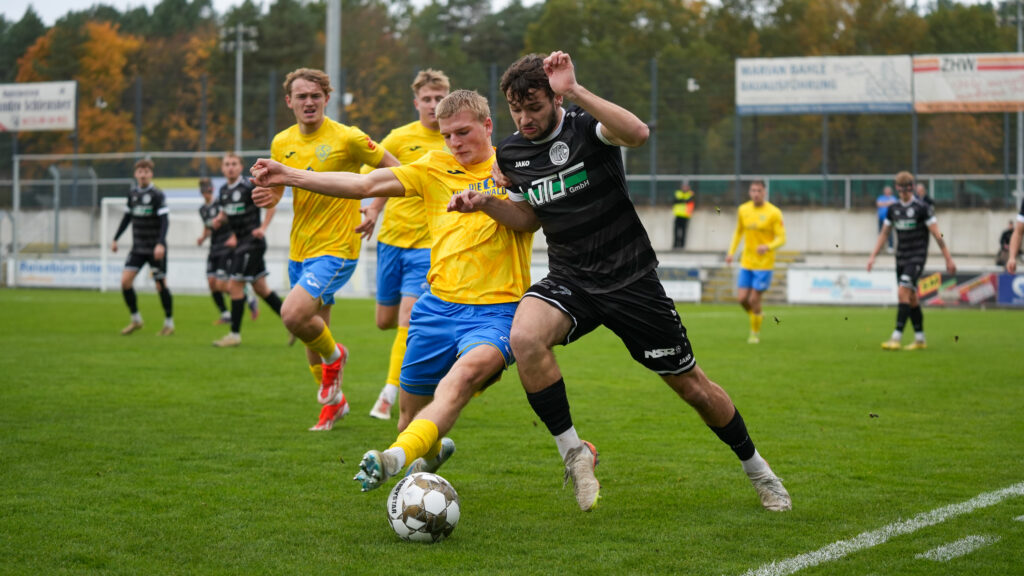 Auch gegen Plauen findet der FSV nicht in die Erfolgsspur 13