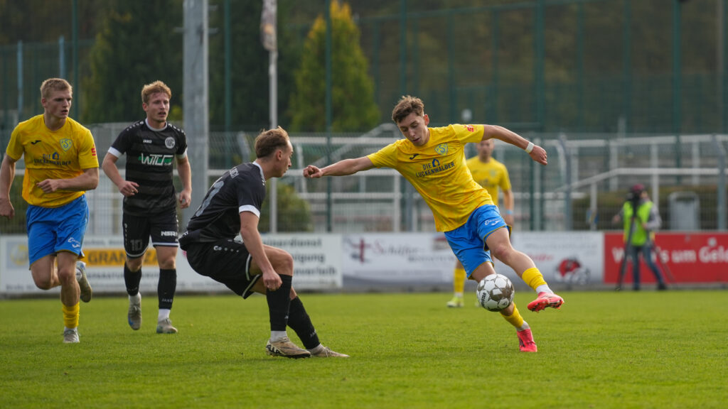 Auch gegen Plauen findet der FSV nicht in die Erfolgsspur 29