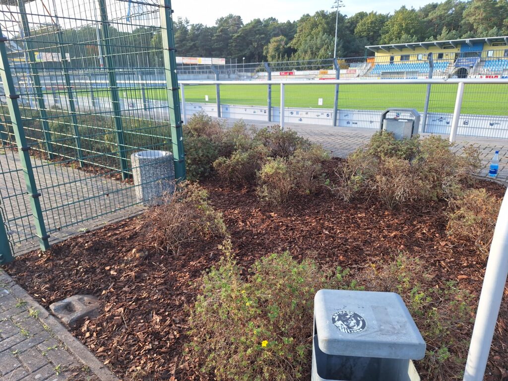 Herbstputz im Seele 1 Herbstputz im Seele 1