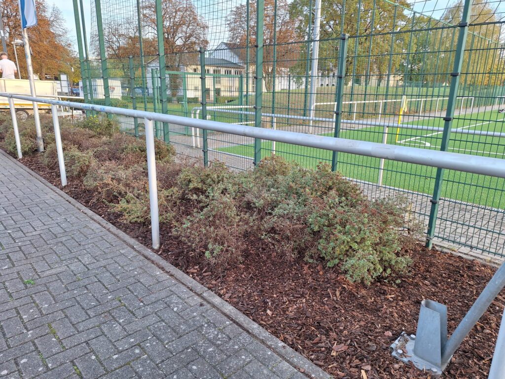 Herbstputz im Seele 4 Herbstputz im Seele 4