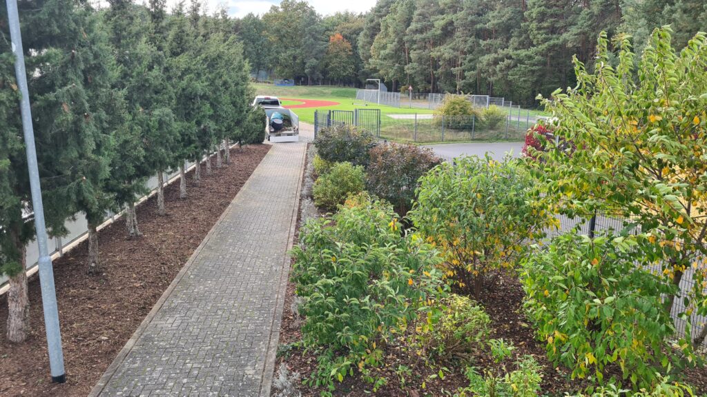 Herbstputz im Seele 6 Herbstputz im Seele 6