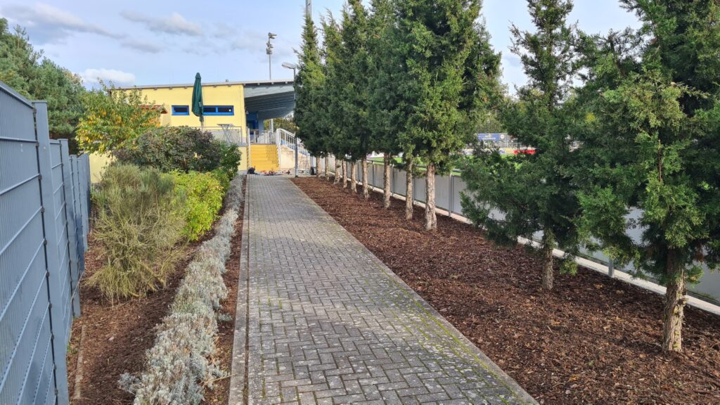 Herbstputz im Seele 7 Herbstputz im Seele 7