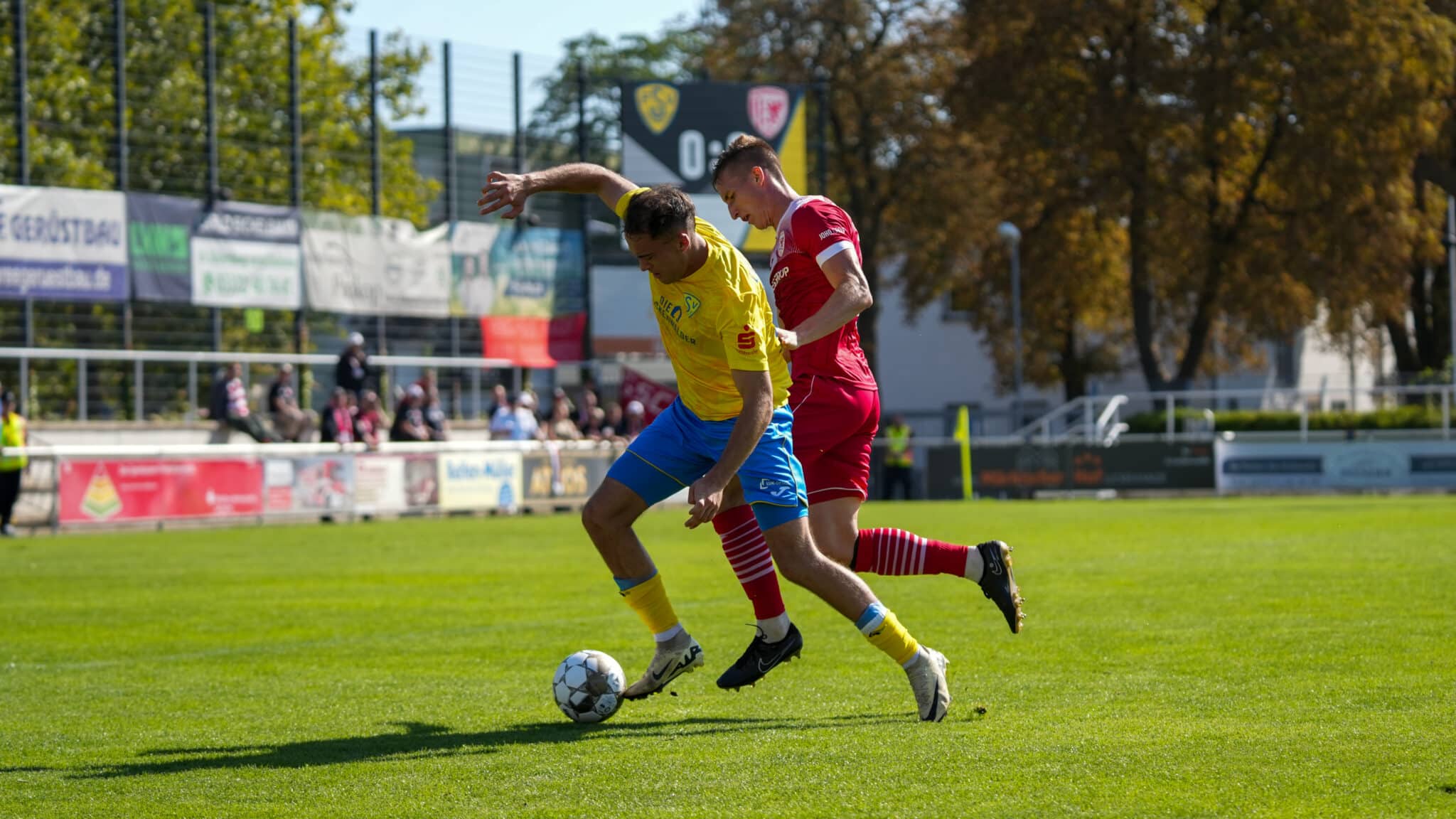 Simon Gollnack wird 23 1 Simon Gollnack wird 23 1