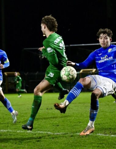 Fan-Infos für #BSGFSV 24