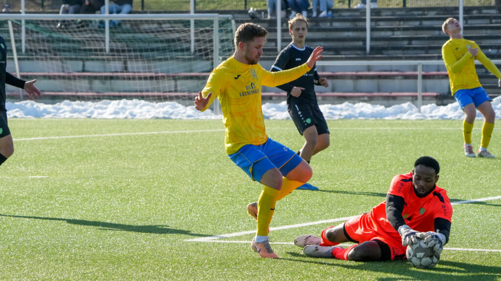 Erfolgreiches Testspielwochenende der Ersten 15