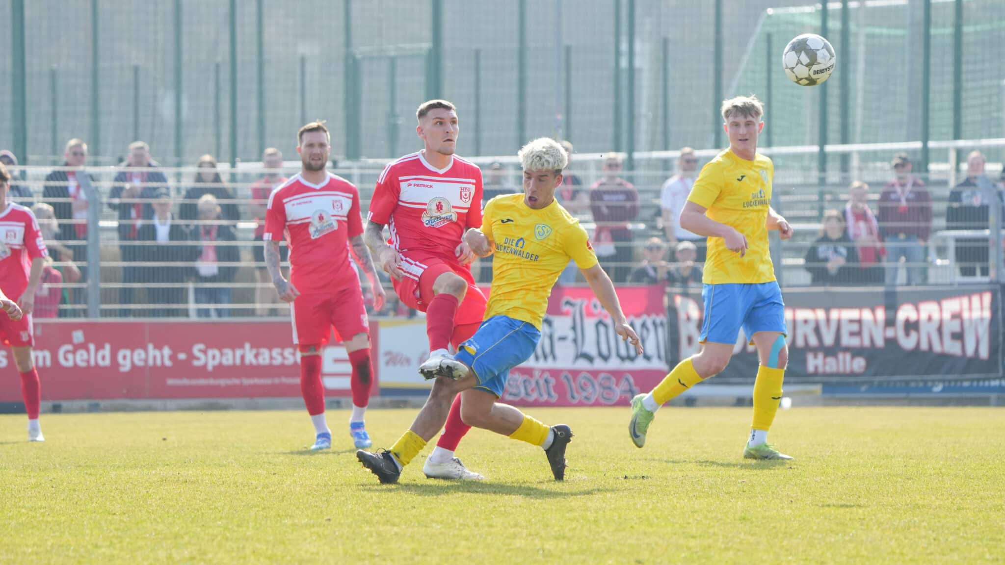 Luckenwalde überzeugt wieder einmal gegen einen Topfavoriten 1