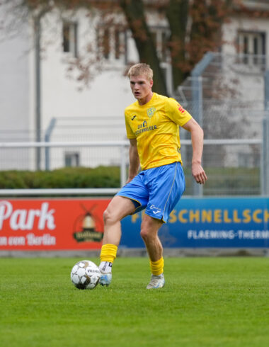 Levin - Happy Birthday 2