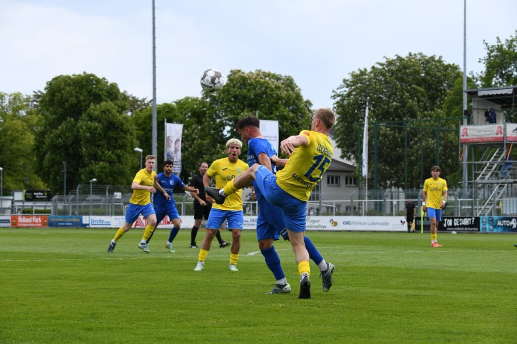 Der FSV 63 Luckenwalde spielt weiter Regionalliga 74