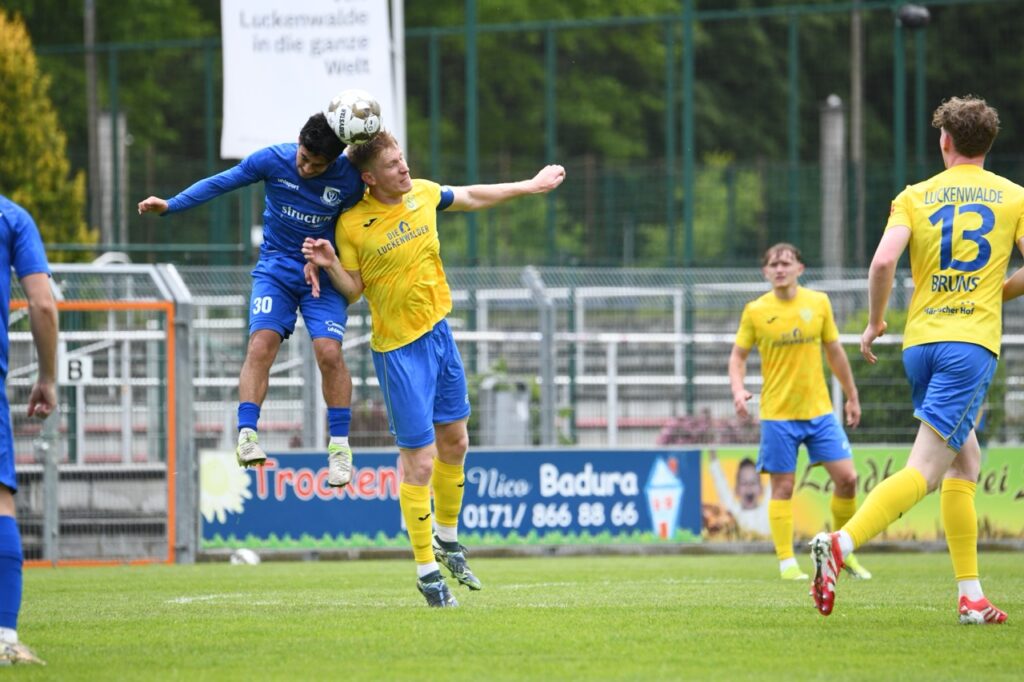 Der FSV 63 Luckenwalde spielt weiter Regionalliga 42
