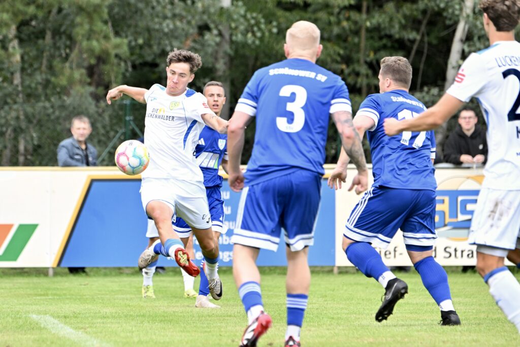 Neun Torschützen - Elf Tore 10 Neun Torschützen - Elf Tore 10