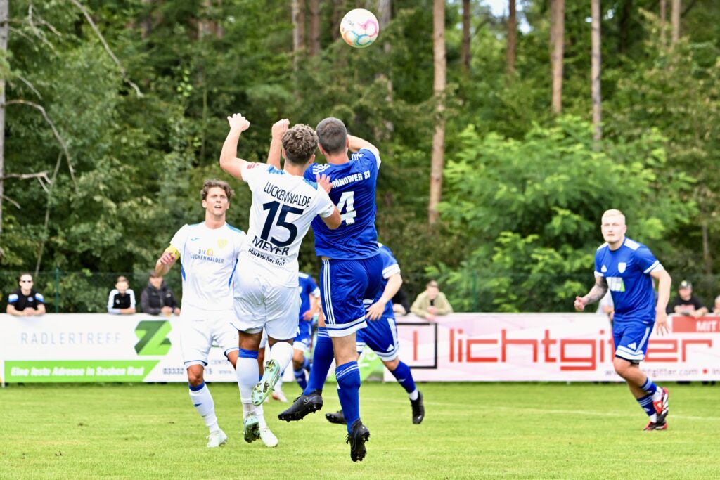 Neun Torschützen - Elf Tore 15 Neun Torschützen - Elf Tore 15
